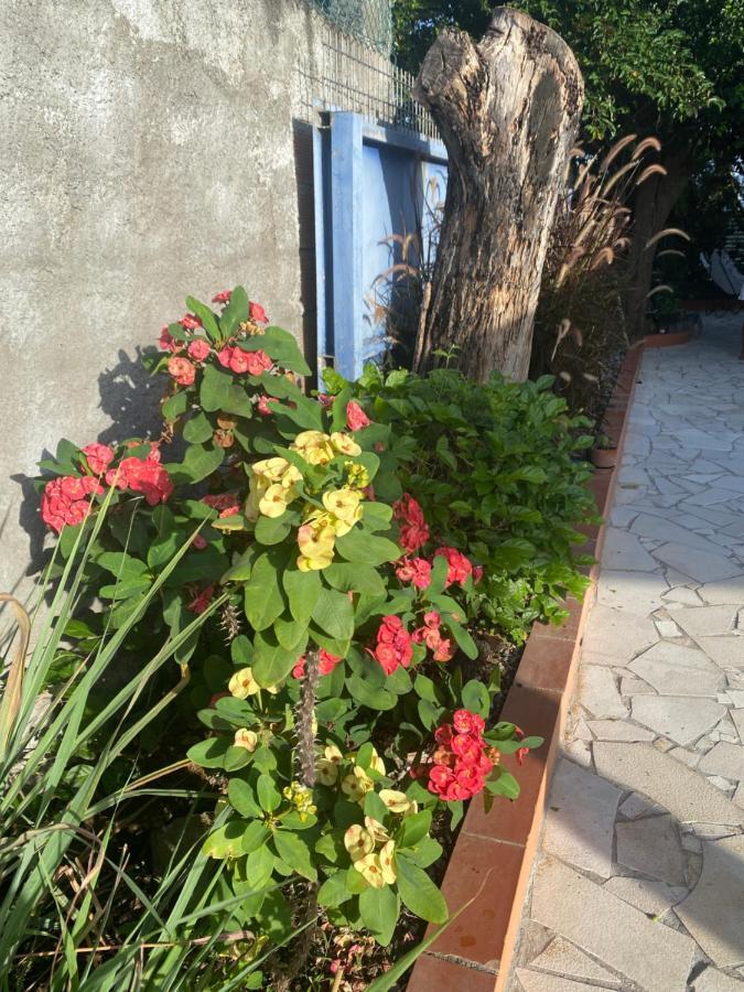 Au Pipiri Leve Apartamento Schoelcher Exterior foto
